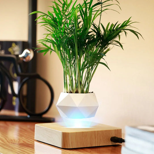 Levitating Plant Pot for Modern Home Decoration
