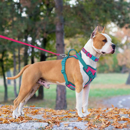 FlexiPup™ – Personalized Adjustable Dog Harness with Chest Strap