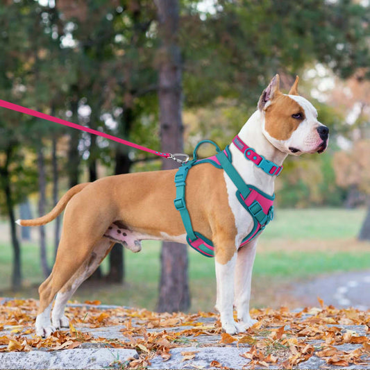 FlexiPup™ – Personalized Adjustable Dog Harness with Chest Strap