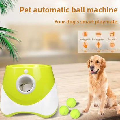 PawPlay™ Ball Launcher – Automatic Dog Toy for Small & Medium Breeds