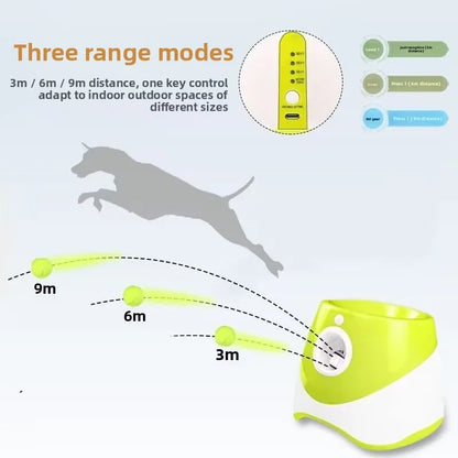 PawPlay™ Ball Launcher – Automatic Dog Toy for Small & Medium Breeds