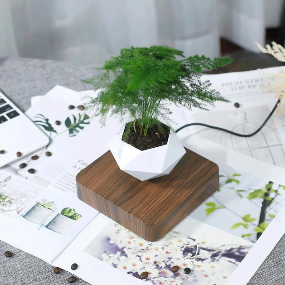 Levitating Plant Pot for Modern Home Decoration