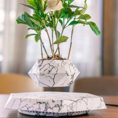 Levitating Plant Pot for Modern Home Decoration