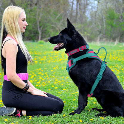 FlexiPup™ – Personalized Adjustable Dog Harness with Chest Strap